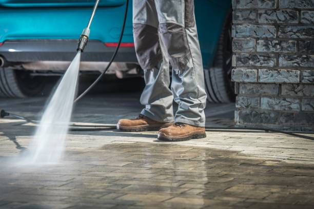 Best Dumpster Area Cleaning  in Lake Grove, NY